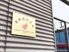 同时加速国际化步